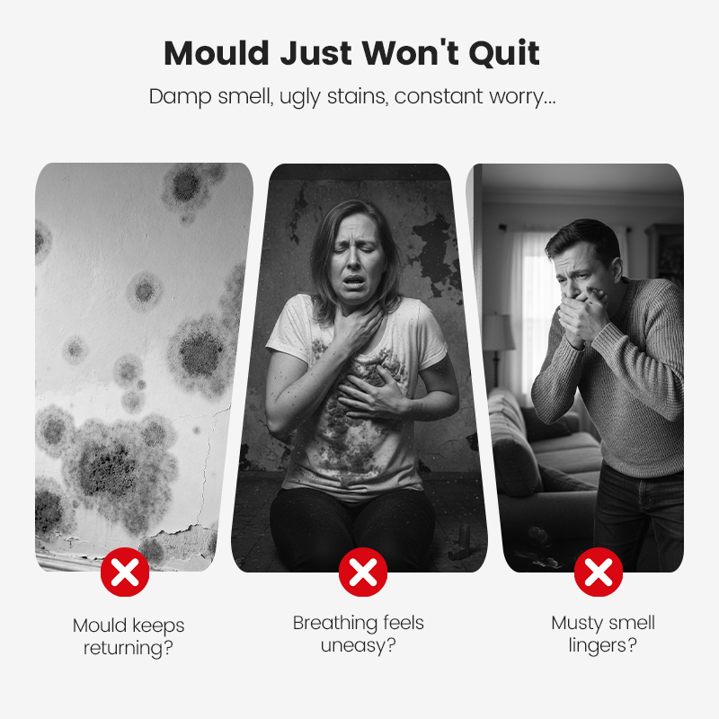 💥Highly Effective Mould Removal Spray - Prevents Mould Regrowth
